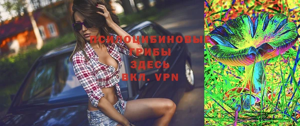 крисы Абаза