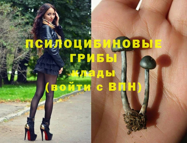 ALPHA PVP Алексин