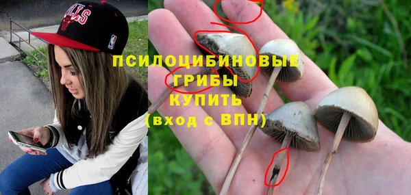 ALPHA PVP Алексин