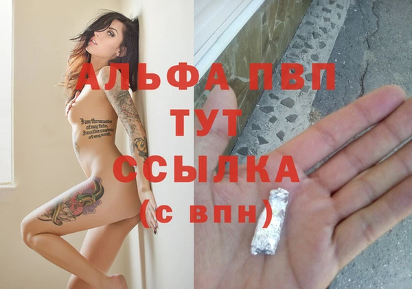 apvp Алзамай