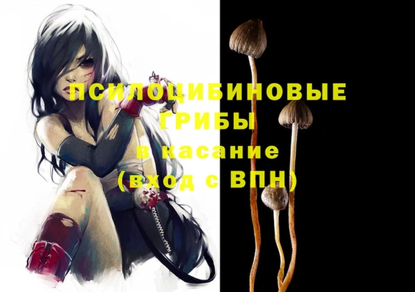 apvp Алзамай